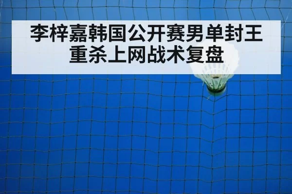 badminton net play