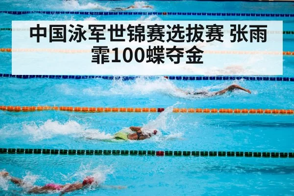 swimming pool competition