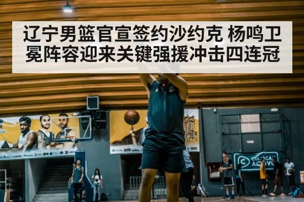 辽宁男篮官宣签约沙约克 杨鸣卫冕阵容迎来关键强援冲击四连冠